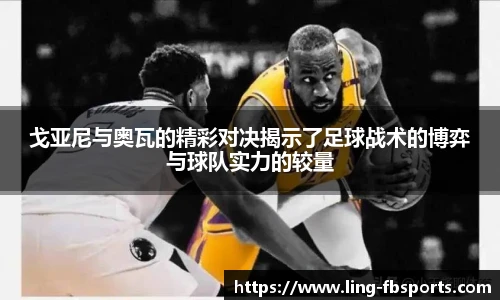 FB体育官网